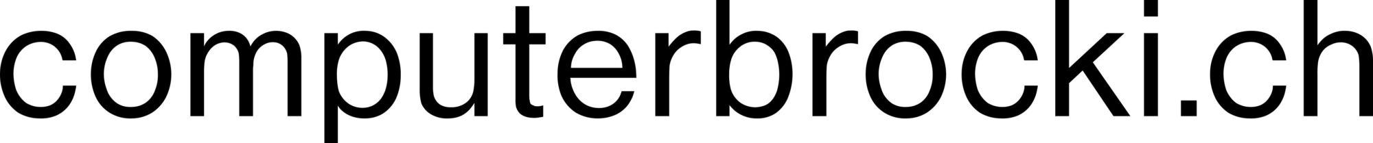 Computerbrocki ch