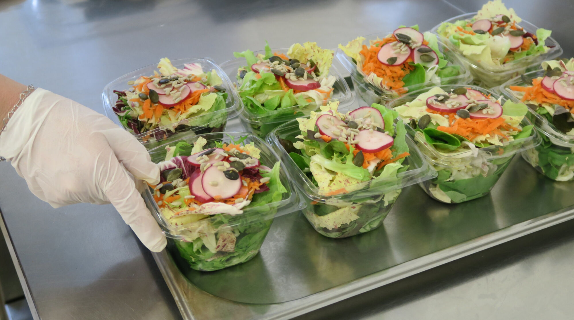 werkBAR sintegrA zürich Oerlikon Blattsalate