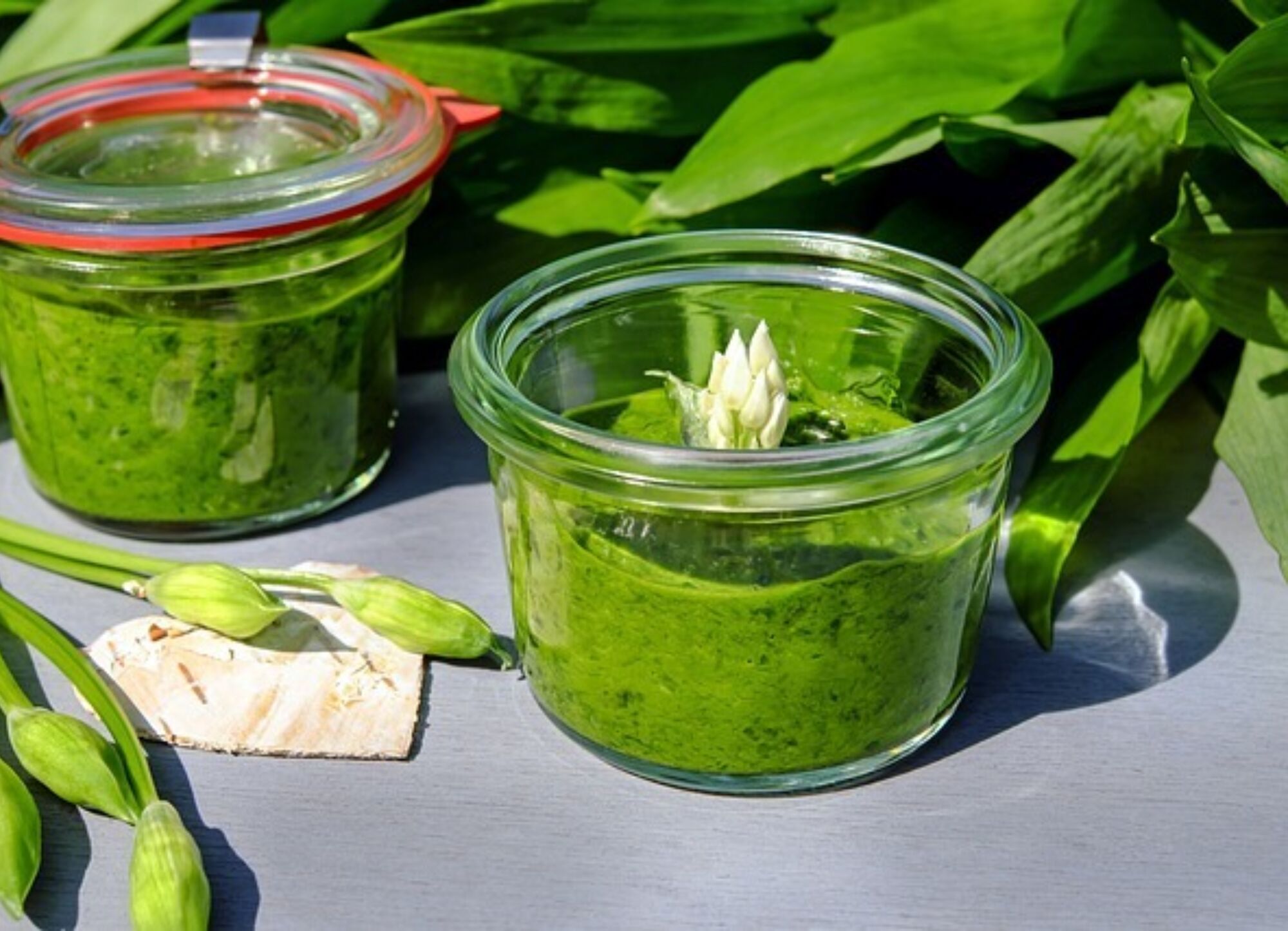 Baerlauchpesto