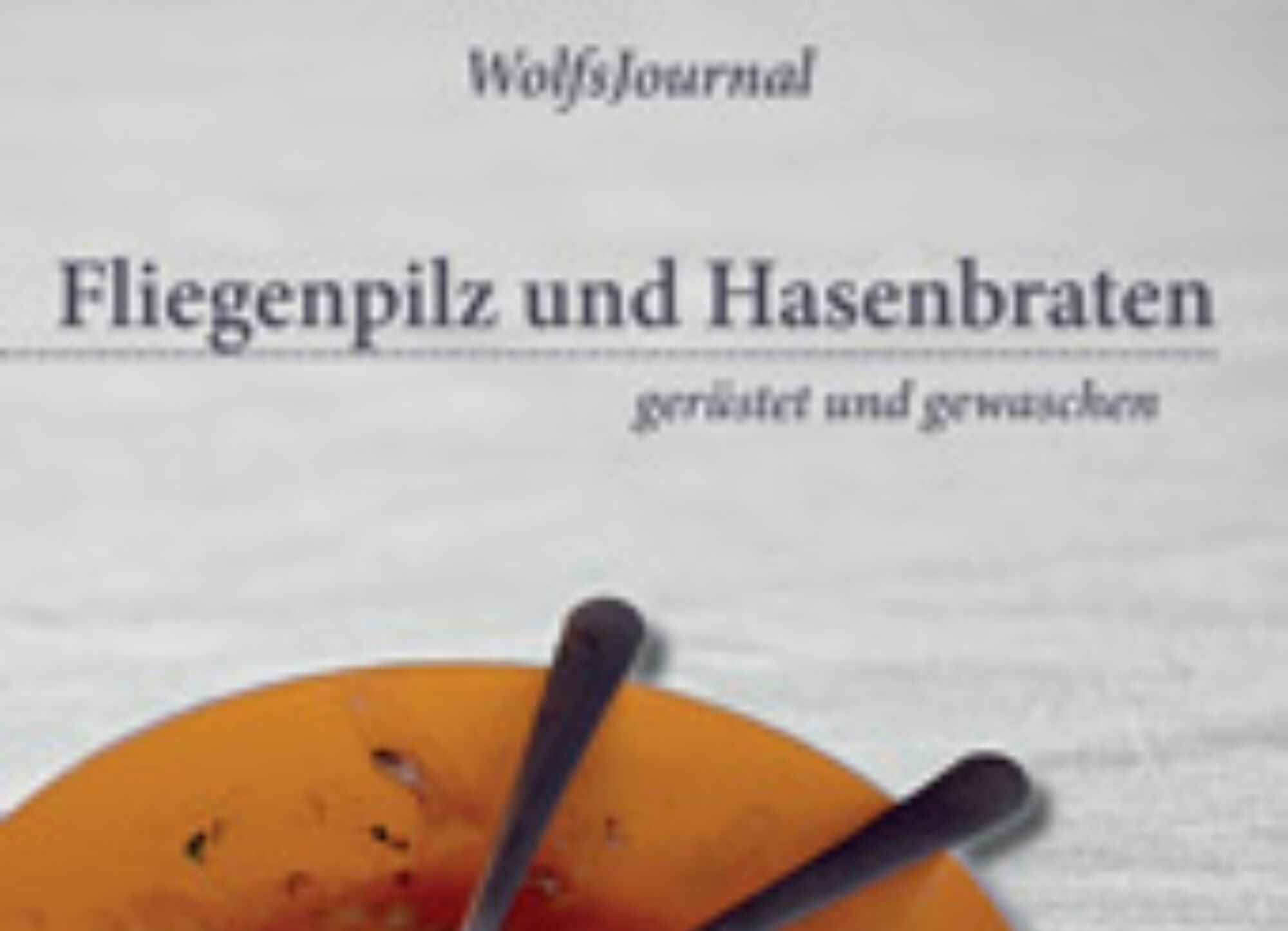 Atelier vom Wolf in der Säule sintegrA zürich Ausstellung Wj3 webvorschau